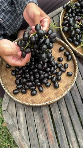 A post by @chhomsreypach on TikTok caption: ព្រីងក្រឡុកអំបិលម្ទេស