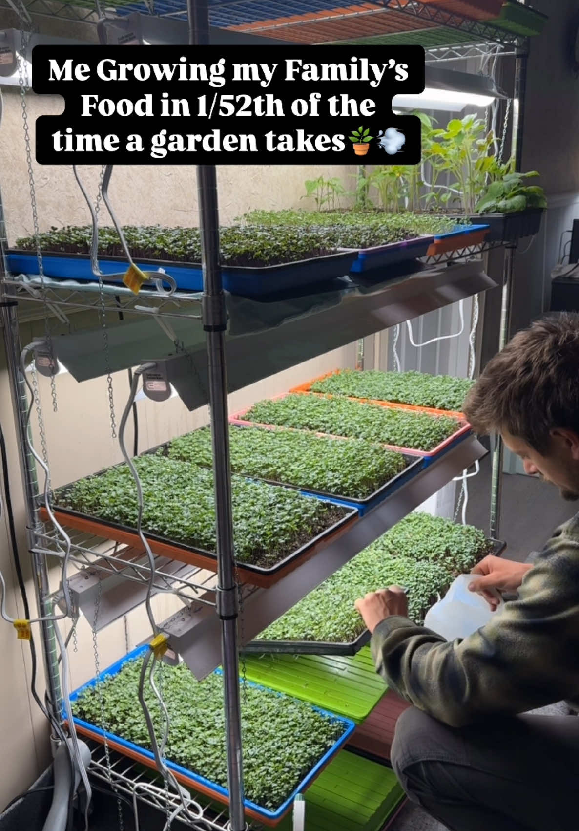 A post by @blohmtreezy on TikTok caption: Healthy Weekly Salads for my Family. Oh and I make $2k a week from selling these to my community as well. HUGE perk. And our chickens eat the post harvested trays😂👏🏼 TRIPLE WHAMMY  . . #indoorgarden #indoorgardening #healthyfood #microgreens #sprouts #marketgarden #gardeninspiration #growyourfood #growyourownfood #greens #healthysalads 