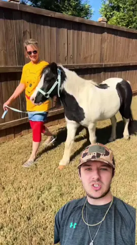 A post by @themoneyshark on TikTok caption: This mobile petting zoo business prints 💸 #business #businessideas #sidehustleideas #sidehustle #entrepreneur #greenscreenvideo 
