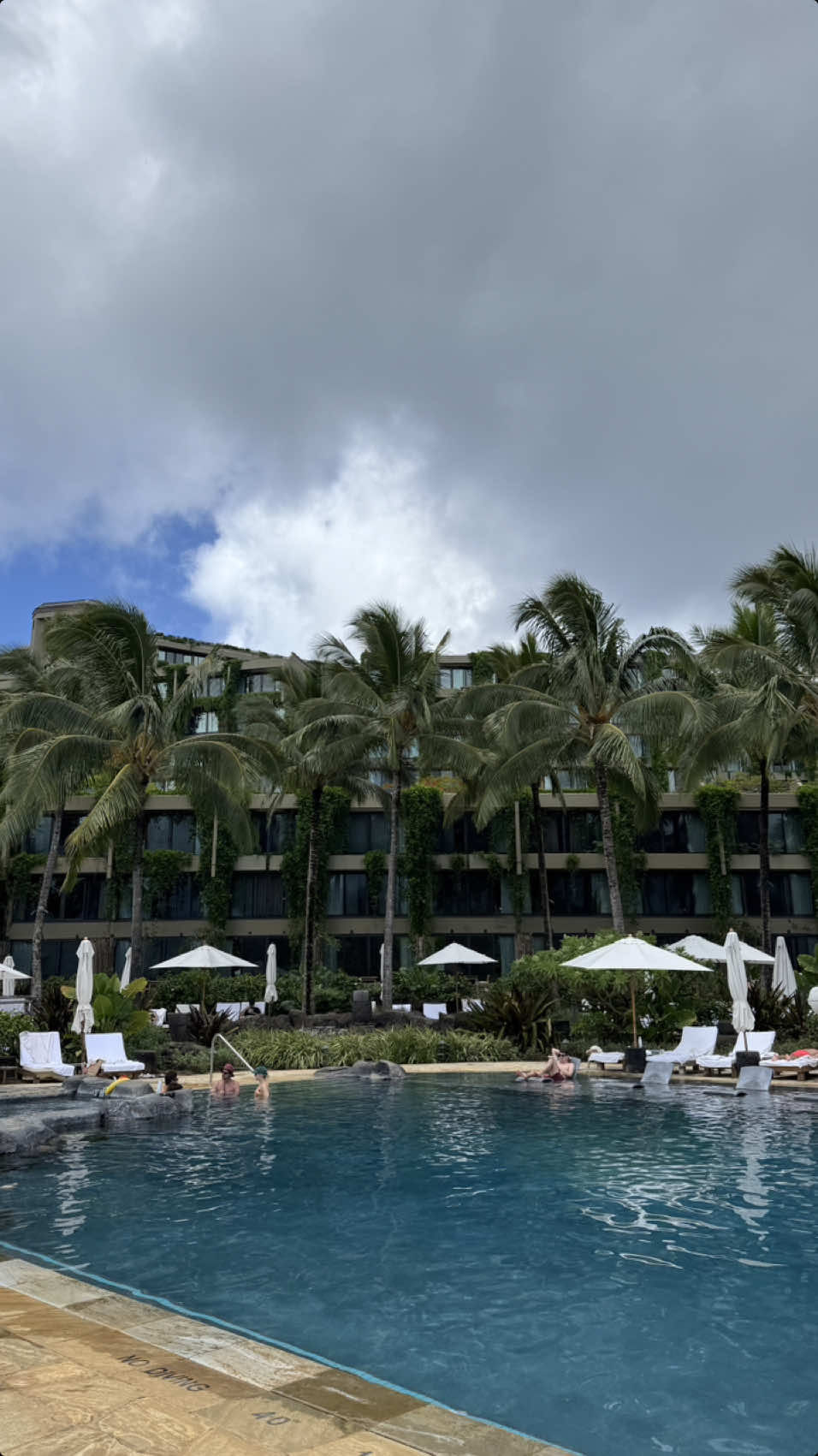 A post by @stevenkellly on TikTok caption: travel to hawaii w/ us #fyp #foryou 