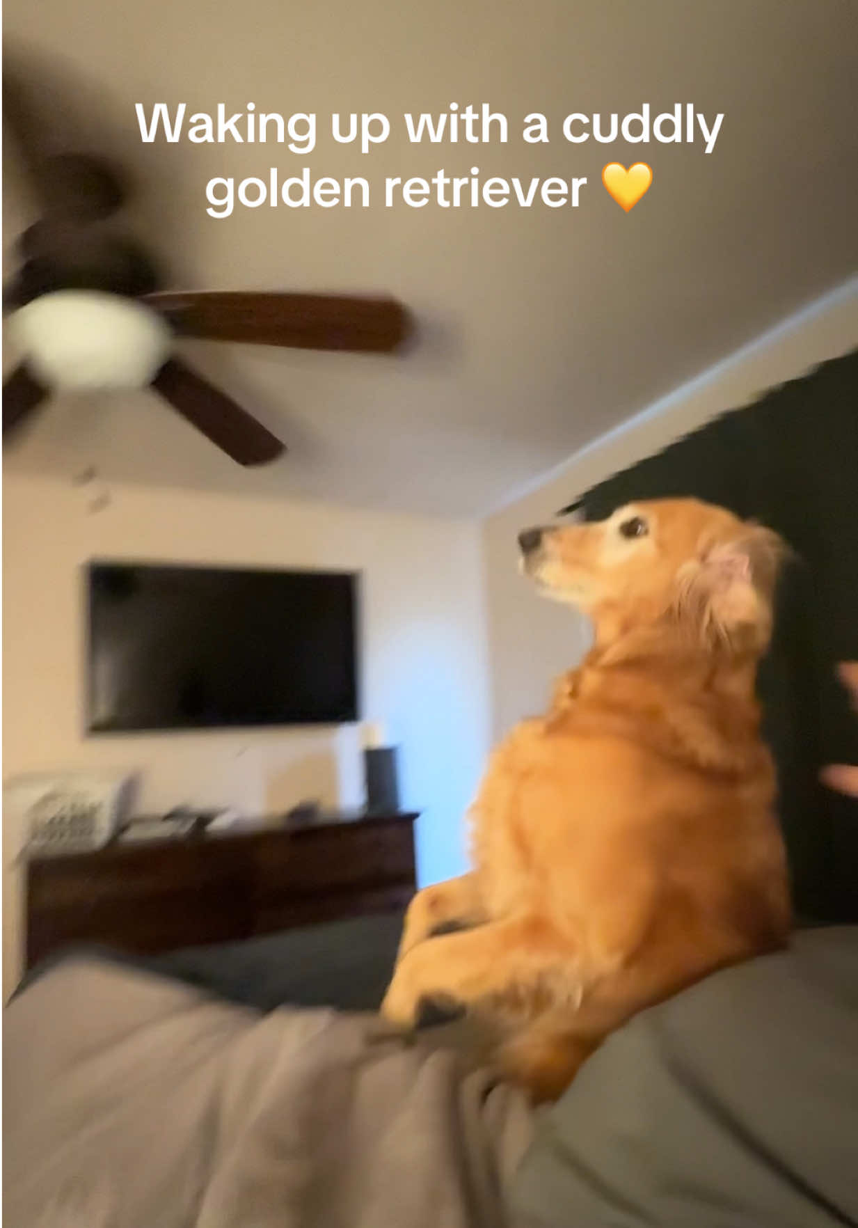 A post by @adventuringwithnala on TikTok caption: The back feets 🥹 and she flop