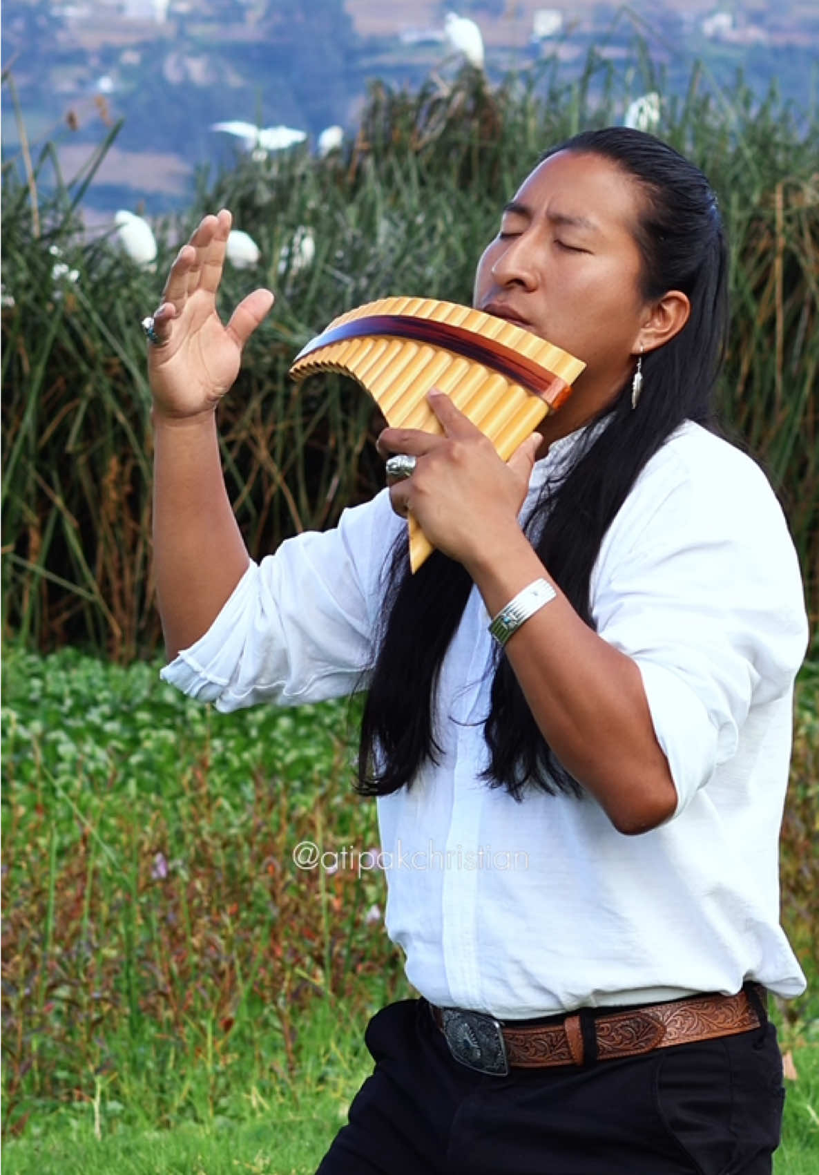 A post by @atipakchristian on TikTok caption: Yellow Wild Flower 🌼 - Cover by Atipak Christian | Beautiful Native Music #andeanmusic #nativepride 