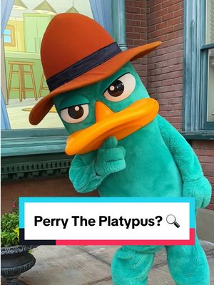 A post by @disneyparks on TikTok caption: A platypus? Perry the Platypus?? 😱 #DisneyParks #CaliforniaAdventure 