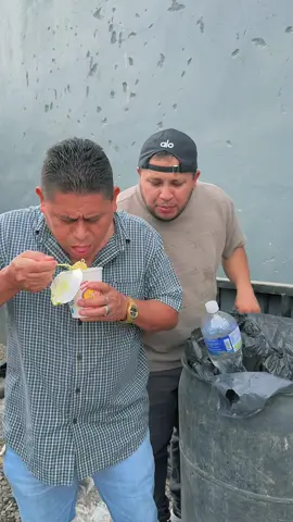 A post by @losmercury92796 on TikTok caption: Lo encontramos comiendo serca de la basura 😂😂 @Wiluka 🦔 @Nery Mercao @Chiliwilyy 🐣 