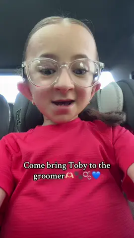A post by @grwms.by.vitoria on TikTok caption: Come bring Toby to the groomer🫶🏻🐾🫧💙 @Pet Happy Day #grwmsbyvitoria #osteogenesisperfecta #osteogenesisawareness #fyp #toby #comebringtobytothegroomer #tysm #pethappydaygrooming #pethappyday 