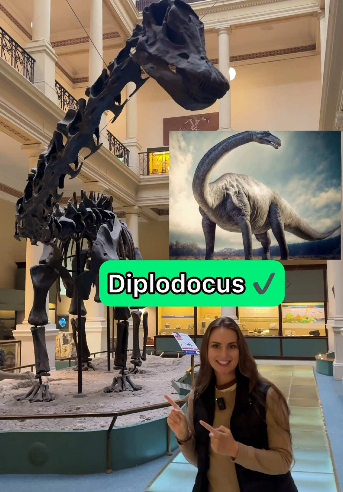 A post by @starvicks51 on TikTok caption: What’s your favorite dinosaur?🦕🦖#english #speakenglish #ielts #ieltspreparation #speaking #practice #englishlesson #englishclass #englishonline #englishteacher #englishtips