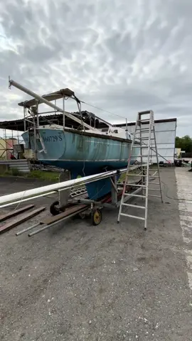 A post by @timrasch on TikTok caption: Liebe Lebe Lache #fyp 