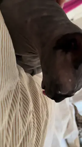 A post by @kitannaa1 on TikTok