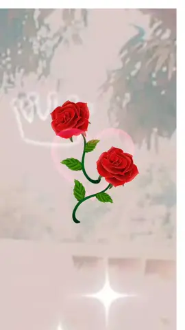 A post by @keita96gma on TikTok