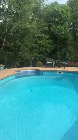 A post by @lifewithcarlos22 on TikTok caption: Every pool owner needs this! #PoolMateHydro, #PoolCleaner, #SummerReady, #PoolSeason, #PoolVibes, #PoolLife, #BackyardGoals, #PoolMaintenance, #HomeHacks, #GadgetGoals, #PoolHack, #CordlessCleaner, #CleanPool, #TikTokMadeMeBuyIt, #MustHave, #PoolTok, #SatisfyingClean, #BeforeAndAfter, #TechForHome, #GameChanger, #SummerEssentials, #PoolsideVibes, #LazyPoolDays, #AutomaticCleaner, #BackyardUpgrade