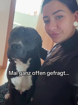 A post by @itsme.bellaaaaa on TikTok caption: Würdest du dann schau gerne auf Instagram vorbei 🥰🥰🥰