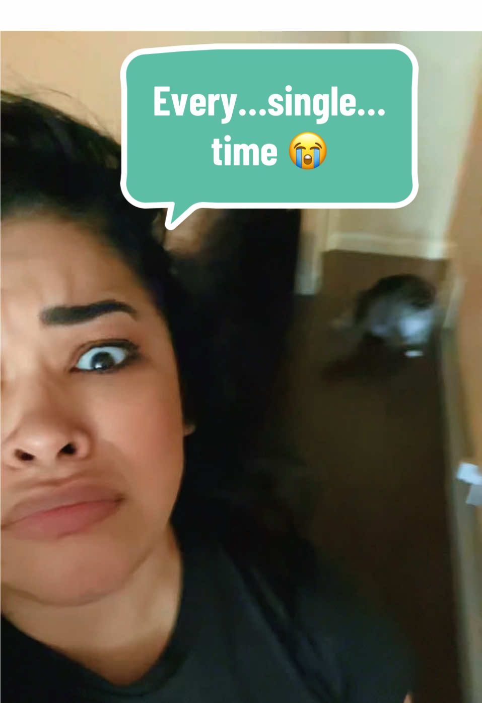 A post by @vanluc.7 on TikTok caption: The minute he sees it, he chases me until I let him eat some 🍦💕🍦💕 #catsmoves #lifeofapet #lifeofapetparent #cat #catsoftiktok #mainecoonsoftiktok #maincooncat #mainecoonlovers #mainecooncats #texas #texaswomen 