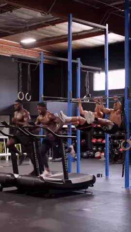 A post by @sipanzro on TikTok caption: #calisthenics #gym #sport #Fitness #Training #رياضة #لياقة #كمال_الاجسام 