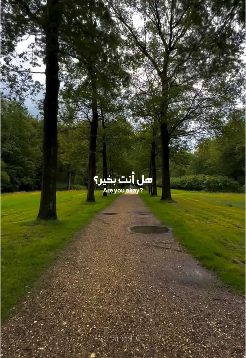 A post by @mohamad_0_7 on TikTok