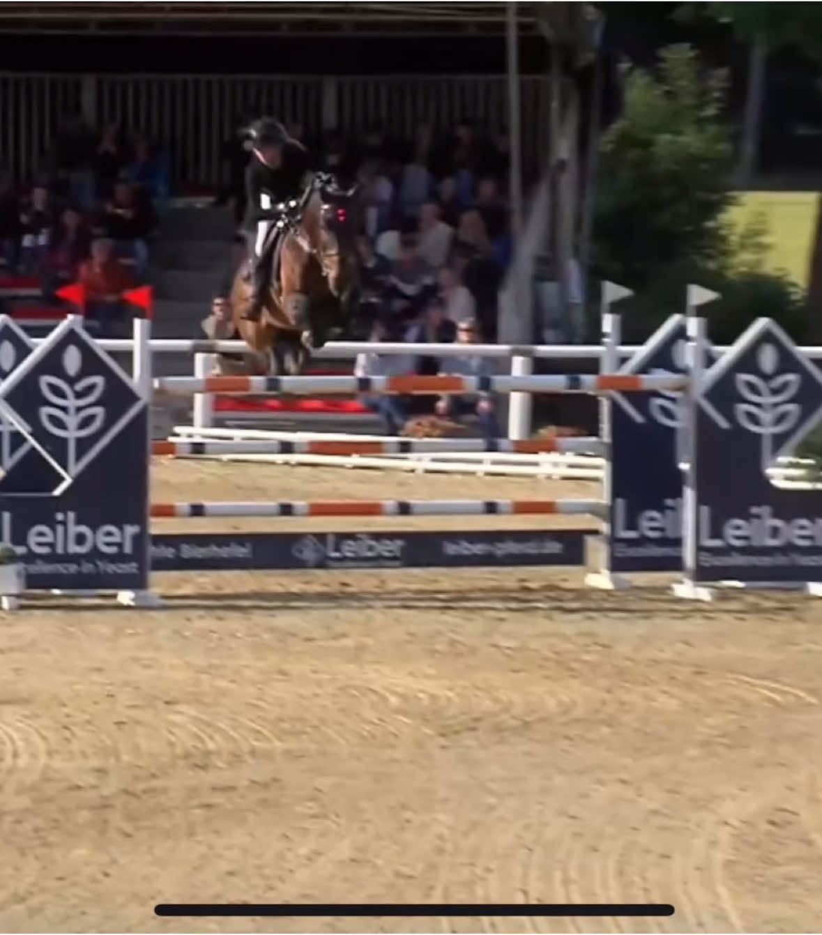 A post by @naomi.himmelreich on TikTok caption: Kannut really deserve the world 🌎 placed 5th in yesterdays 1.40m with a really fast round and placed in his first 1.45m Gp with two great rounds 😍❤️ 