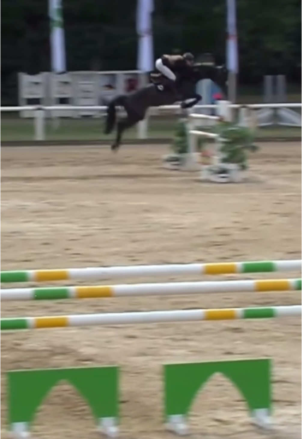 A post by @naomi.himmelreich on TikTok caption: My one and only placed 4th in yesterdays 1.40m and jumped a really good round in the 1.45GP, just the rider was bad ❤️