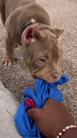 A post by @keoncoleman1 on TikTok caption: 😂😂😂😂