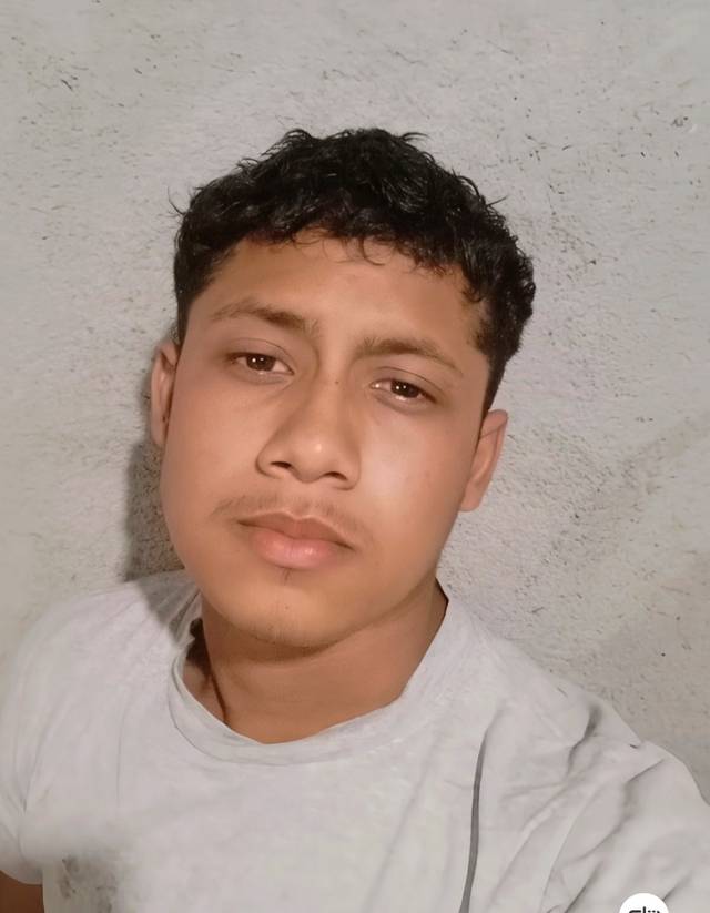 A post by @userr9270008 on TikTok caption: #parti #frpシ 