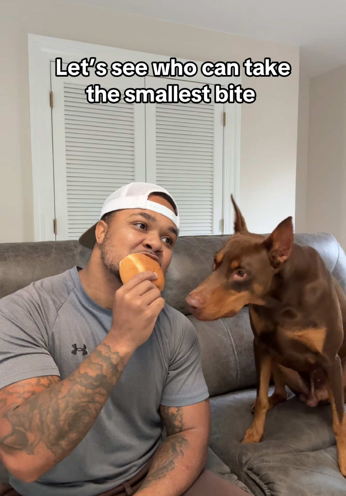 A post by @suavexavier on TikTok caption: That probably was a small bite to him 🤣
