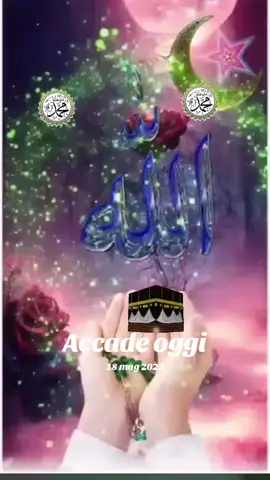 A post by @abdelrarro84 on TikTok caption: #accadeoggi #🙏 #😭😭😭😭😭😭💔💔💔💔 #🌹🌹 #🤍🤍🤍🤍🤍🤍🤍🤍🤍🤍🤍🤍🤍🤍🤍🤍🤍🤍🤍🤍🤍🤍🤍 #💝💝💝💝💝💝 #🙌🙌🙌🙌🙌🙌🙌🙌🙏🙏🙏🙏🙏🙏🙏🙏🙏 #🙌🙌 #🤲🤲🕋🕋🤲🤲 ##💝💝 #💚💚💚 