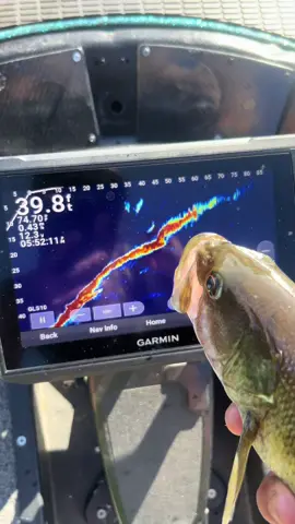A post by @austinjfishing on TikTok caption: Watch and weep 🥲#foryouu #foryourpage #foryou #fyp #foryoupageofficiall #foryoupage #foryour #foryo 