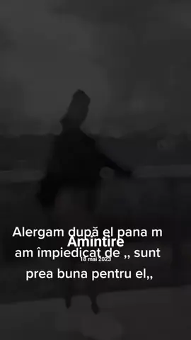 A post by @ionelaioni0 on TikTok caption: #amintire