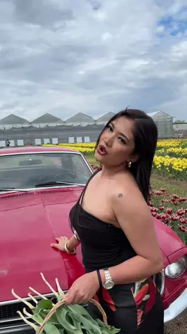 A post by @priyanka.bhattarai0 on TikTok caption: #fypシ #featureme #trending #nepali🇳🇵 #nepalitiktok 