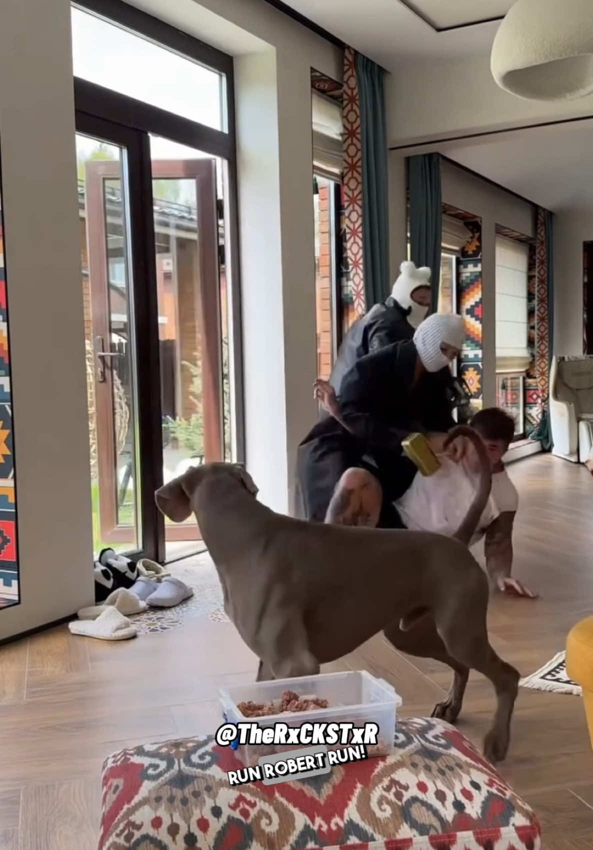 A post by @therxckstxr on TikTok caption: Would your dog save you? 😂  #RxCKSTxR #Comedy #Voiceover #challenge #dallastx 
