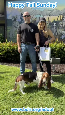 A post by @bigdogranchrescuefl on TikTok caption: It’s Happy Tail Sunday, and our hearts are full! 🐾 Each week, we get to celebrate one of the best parts of rescue, watching our incredible dogs head off to their forever homes. These pups came to us from all walks of life, some with tough pasts and others simply needing a second chance. Thanks to our amazing adopters, they now have warm beds, loving families, and bright futures ahead. ✨️ Every adoption is more than just a happy ending, it’s also a new beginning for the next dog in need. By choosing to adopt from Big Dog Ranch Rescue, you're not just changing one life, you’re helping make room for even more lives to be saved. 🐕️ If you're ready to write your own Happy Tail, head to www.bdrr.org/adopt to fill out an adoption application and check out our available pups. Or come visit us in person! We’re open 7 days a week from 10AM to 5PM. 🤍 💙 Donate: www.bdrr.org/miracle-fund 🐶 Lifesaving Member: www.BDRR.org/lifesaver 🐾 Adopt: www.BDRR.org/adopt ✨️ Foster: www.BDRR.org/foster 💲Venmo: @bigdogranchrescue 💰CashApp: @bigdogranchrescue 💵 Zelle: finance@bdrr.org #bdrr #bigdogranchrescue #dogrescue #rescuedog #AdoptDontShop #adoptadog #foreverhome #MiracleDog #DogRescue #LifeSavingCare #SupportRescue #MiracleFund #DogRecovery #DogsOfInstagram #RescueDogsRock #BddrMiracleFund #HelpDogs #EveryDogDeservesAChance #MiracleInTheMaking