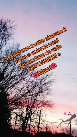 A post by @maral..songul on TikTok caption: #anılar #maral #🦋🦋🦋🦋🦋 #fransa #paris #fyp #aksaray #fouryou #hollanda #almanya #sivas #maras #turkiyem #turkiye 