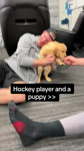 A post by @canes on TikTok caption: Svechy and a puppy ❤️ #canes #nhl #hockey #puppy 