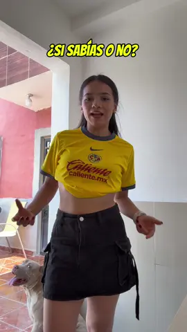 A post by @abifreefire_ on TikTok caption: Que viva el ame 💛 #freefire #paratiiiiiiiiiiiiiiiiiiiiiiiiiiiiiii 