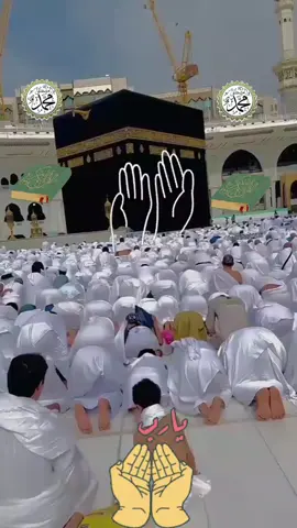 A post by @abdelrarro84 on TikTok caption: #💚💚💚 #💝💝 #🤲🤲🕋🕋🤲🤲 #🙌🙌 #🙌🙌🙌🙌🙌🙌🙌🙌🙏🙏🙏🙏🙏🙏🙏🙏🙏 #💝💝💝💝💝💝 #🤍🤍🤍🤍🤍🤍🤍🤍🤍🤍🤍🤍🤍🤍🤍🤍🤍🤍🤍🤍🤍🤍🤍 #🌹🌹 #🌹🌹 #🌹🌹 #😭😭😭😭😭😭💔💔💔💔 #🙏 #🙌🙌🙌 #🥰🥰🥰 #🕌🕋🕌🤲🤲 #🙌🙌🙌🙌🙌🙌🙌🙌🙏🙏🙏🙏🙏🙏🙏🙏🙏 #🤲🤲🕋🕋🤲🤲 #💚💚💚 #😭😭 #❤️ #☝️❤️ #🌹🌹🌹🌹🌹🌹 #🤍🤍🤍🤍🤍🤍🤍🤍🤍🤍🤍🤍🤍 