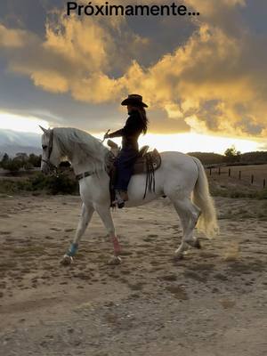 A post by @vasilvana1 on TikTok caption: #cowgirl 