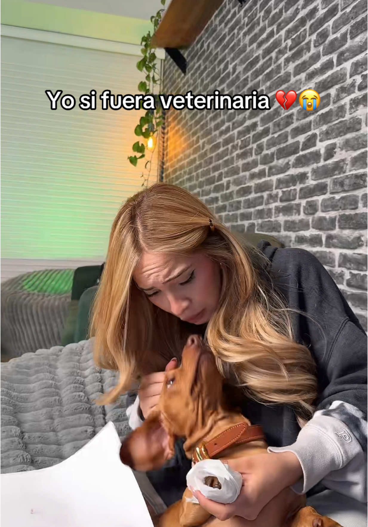 A post by @dayanaraurios on TikTok caption: Es que yo amo muchos a los animalitos 😭❤️ @Cooper JamoncitoLover 