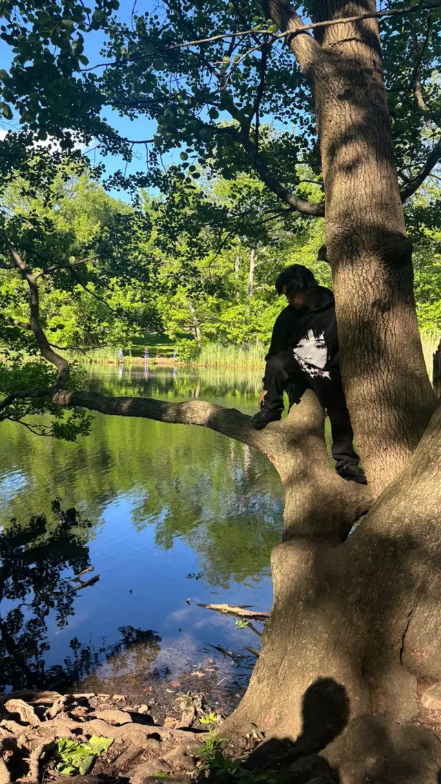 A post by @lov3strvck on TikTok caption: #nature 