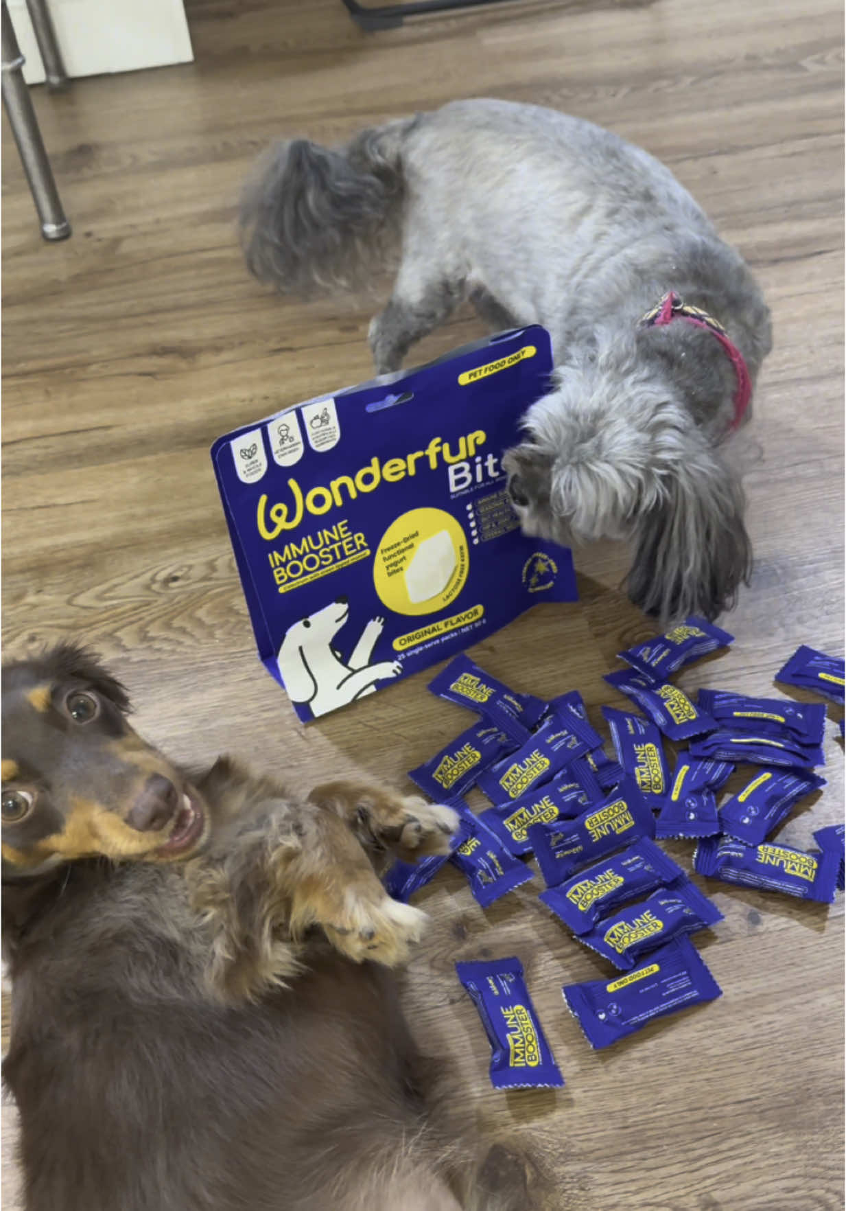 A post by @lilmfcurb on TikTok caption: Bella and Ivey give Wonderfur Bites a 10/10😄 #wonderfur #wonderfurbites 