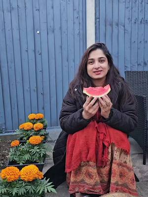 A post by @jfdisha389 on TikTok caption: ছোট বেলার সেই সাধ কি আর আছে