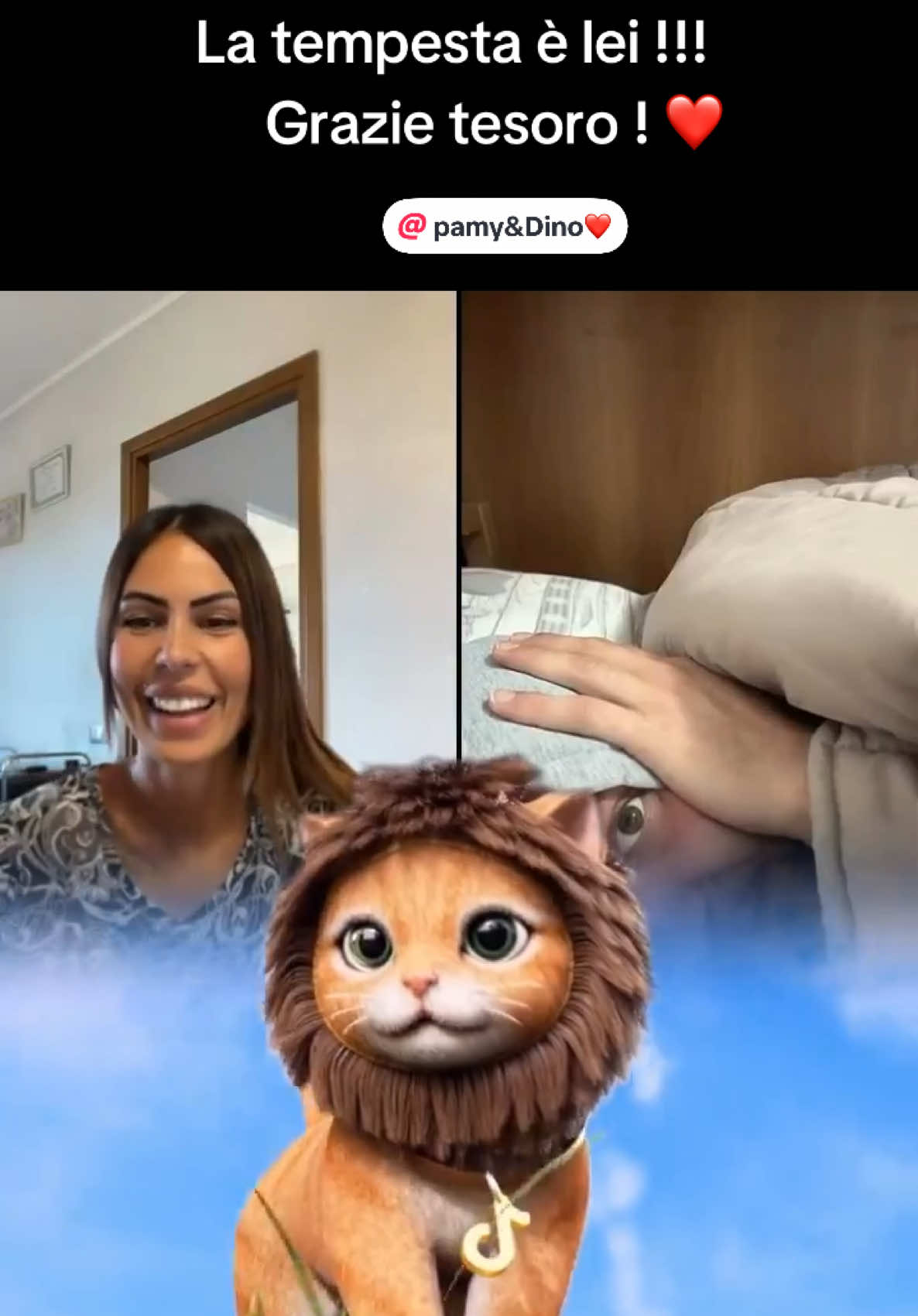 A post by @sugar2290 on TikTok caption: #perte#foryou#viral#andiamoneiperte#