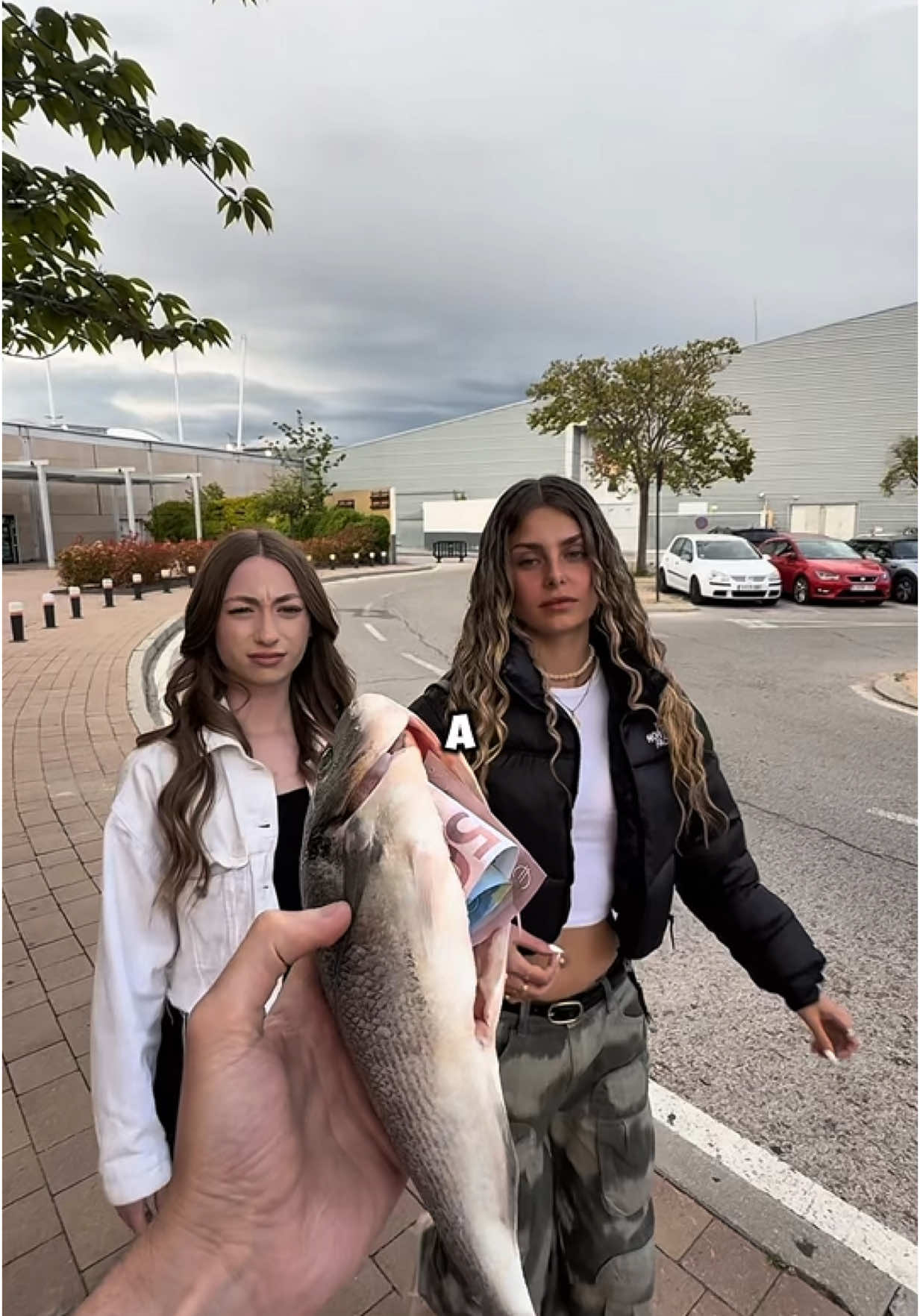 A post by @bydavidir on TikTok caption: Fui con un pez ofreciendolo por la calle! 😱 del que hablo @andreafxofficial #pez #feliz #comida 