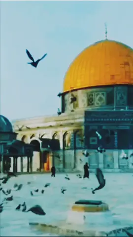 A post by @yarabjannatak on TikTok caption: #اللهم اغفر لي ولوالدي وللمسلمين والمسلمات #اللهم آميين #paratiiiiiiiiiiiiiiiiiiiiiiiiiiiiiii 