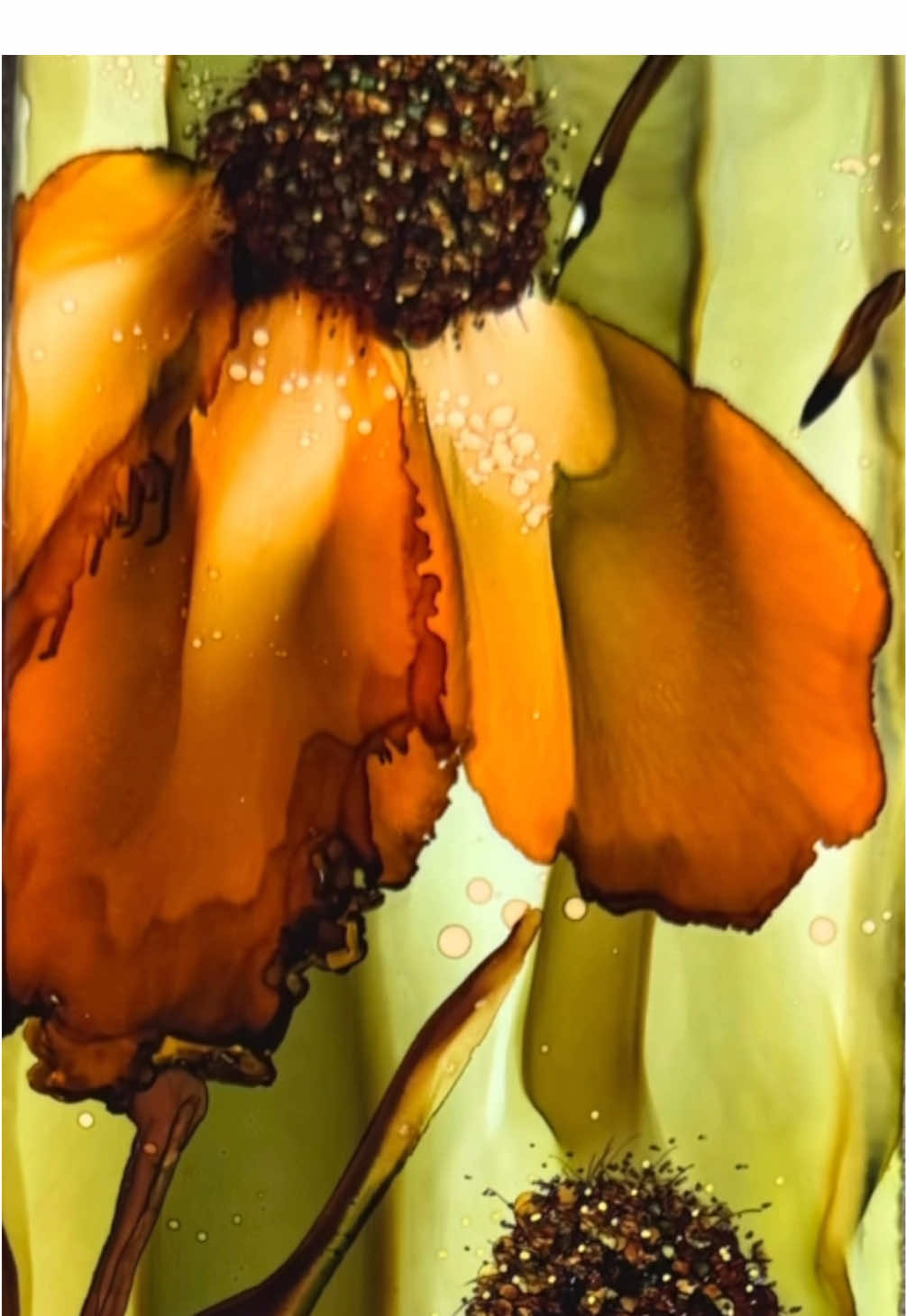 A post by @angiebryantart on TikTok caption: I didn’t paint for years—just didn’t have the time. But after the kids moved out, something shifted. Echinacea was one of the first flowers I learned to paint. It stands for strength and healing… feels fitting, right? Sometimes you don’t even know you need healing until you start creating again. Tell me—what did you come back to once the house got quiet?  #EmptyNestMom #RediscoverYourself #HealingThroughArt #MidlifeCreative #FlowerArtLover #MomsSecondAct #EchinaceaFlower #QuietJoy #ArtAfterMotherhood #NewSeasonNewMe