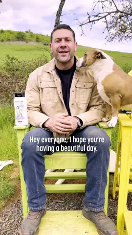 A post by @theasherhouse on TikTok caption: The Dirty Dogs Contest is back and the finalists are in! In partnership with @Greater Good Charities and @The Animal Rescue Site, Wahl once again donated grooming supplies to shelters around the country to help even the most matted pups shine. It’s time for you to vote for your favorite transformation and help shelters win thousands in grant money. To vote, visit @Wahl Pets and comment #WahlDirtyDogsContest on one of the three pinned videos featuring your favorite transformation. By commenting, you will be entered in a sweepstakes to win a Wahl Pets Prize Pack. You have until June 13 to get your votes in! #WahlPets #DirtyDogs #WahlPartner