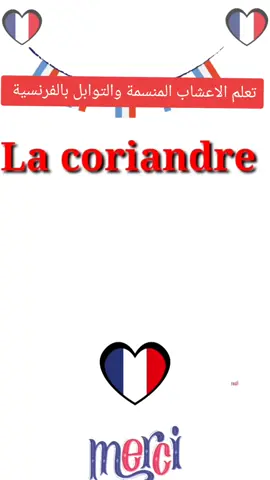 A post by @apprendre.francais94 on TikTok caption: #paris #فرنسا #dz #فرنسا🇨🇵_بلجيكا🇧🇪_المانيا🇩🇪_اسبانيا🇪🇸 #الجالية_العربية_حول_العالم #الفرنسية #lesalgerien #