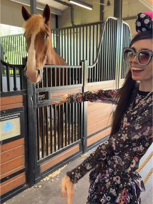 A post by @eugeniaxo on TikTok caption: Sometimes the most magical memories come from the quietest places… 🐴🌲 Fort Wilderness is full of stories, and seeing Red again felt like stepping into a fairytale 🌙✨  #disney #fortwilderness #disneyworld #horses #peaceful #disneymagic #magicalmoments #travelvibes 