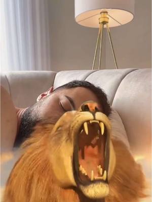A post by @midovibes on TikTok caption: Bester Wecker ⏰🦁