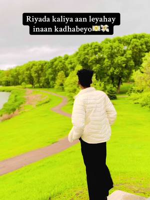 A post by @kingmirqaaye on TikTok caption: #CapCut adigana Maxa ku qor sheysan😂🫵🏽#mirqaaye😘 #somalitiktok #somalia #lacag #creatorsearchinsights #fyp @suuro badan sidi sodohded❤️😘 @Nadiyoqurux 💃👑🏋️‍♀️ @Wiil baadiye🇸🇴✪ @🦋Raja🦋 
