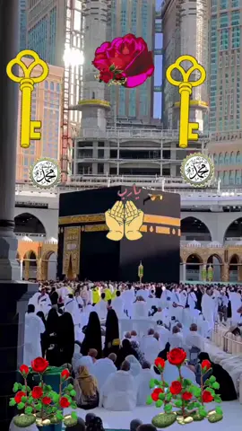 A post by @abdelrarro84 on TikTok caption: #🌹🌹 #🙏🙏🙏🙏🙏🙏🙏🙏🙏 #🙌🙌🙌🙌🙌🙌🙌🙌 #🕌🕋🕌🤲🤲 #🙌🙌🙌 #🌹🌹 #🙏🙏🙏🙏🙏🙏🙏🙏🙏 #🕌🕋🕌🤲🤲 #❤️ #💚💚💚 #☝️❤️ #😭😭 #🤲🤲🕋🕋🤲🤲 #🙏 #🙏 