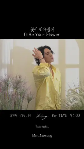 A post by @juwang303 on TikTok caption: 꽃이 되어줄게🌼 #꽃이되어줄게 #🌼  #이창섭 #leechangsub #꽃이되어줄게 #illbeyourflower #fyp #roykim #로이킴 #kpop #kdrama  @이창섭 LEECHANGSUB @Roy Kim 