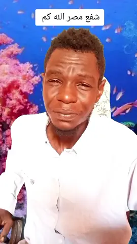 A post by @treg1234brofa on TikTok caption: #طارق #بروفة #بروفة #مشاهيرالسودان_ألخرطوم #الجزيرة #الشعب_الصيني_ماله_حل😂😂 #مشاهيرالسودان_تيك_توك🇸🇩🇸🇩 